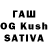 APVP VHQ dashpagma dasha