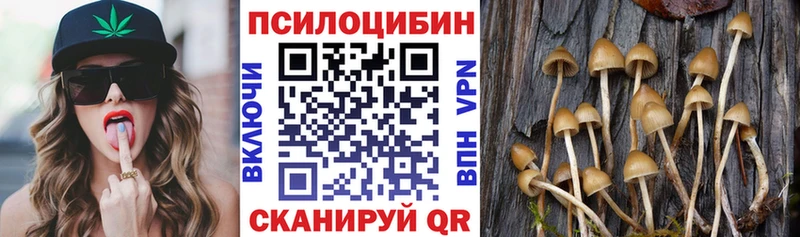 OMG онион  Канаш  Галлюциногенные грибы ЛСД 